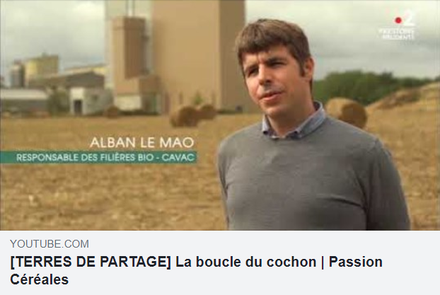 Porcineo : La Boucle du Cochon