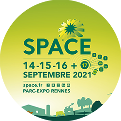 Porcineo : SPACE 2021