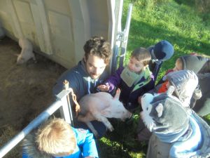 Porcineo : Une école à la découverte d'un élevage